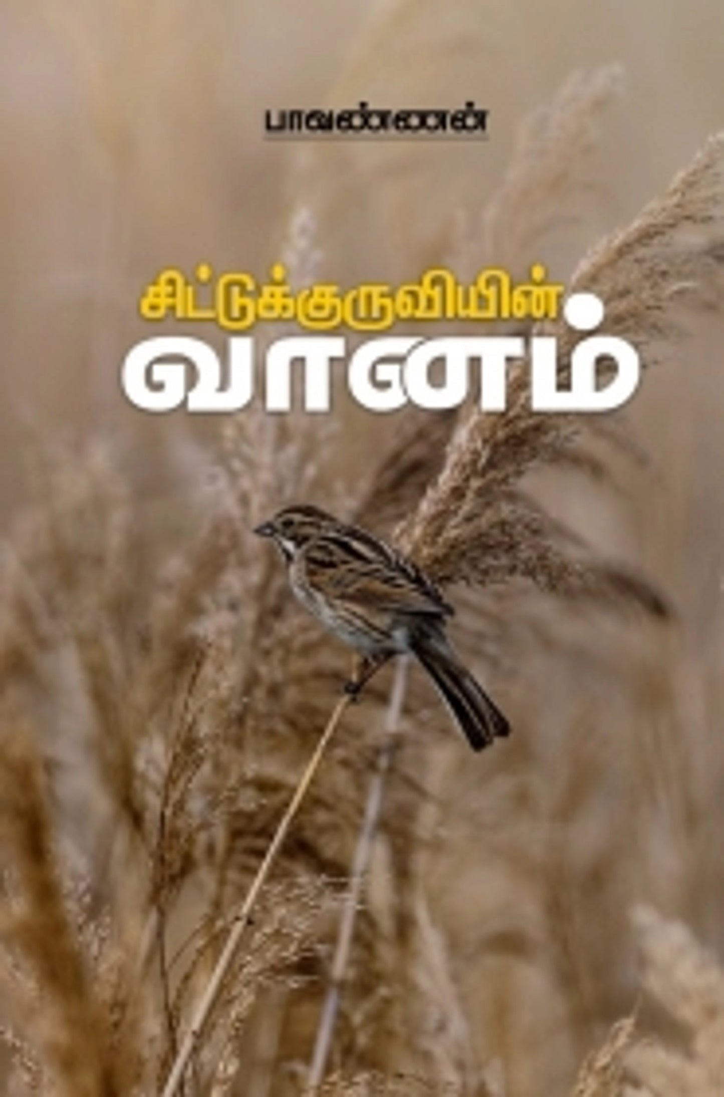 சிட்டுக்குருவியின் வானம்