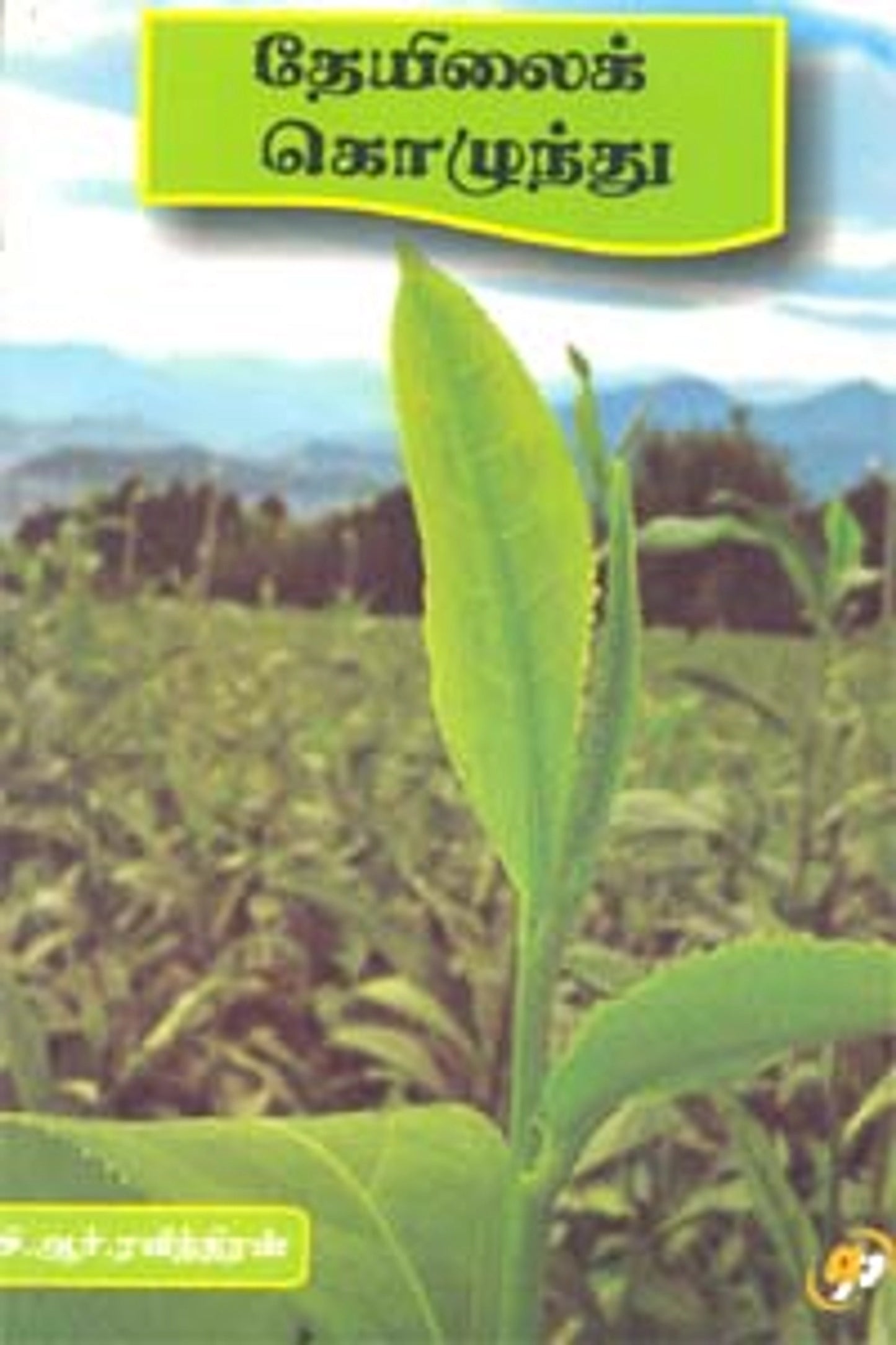 தேயிலைக் கொழுந்து