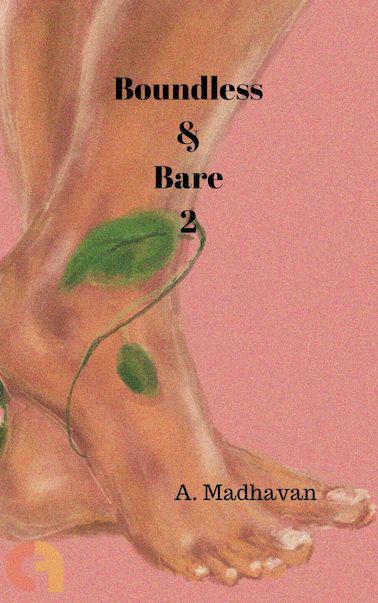 Boundless And Bare 2