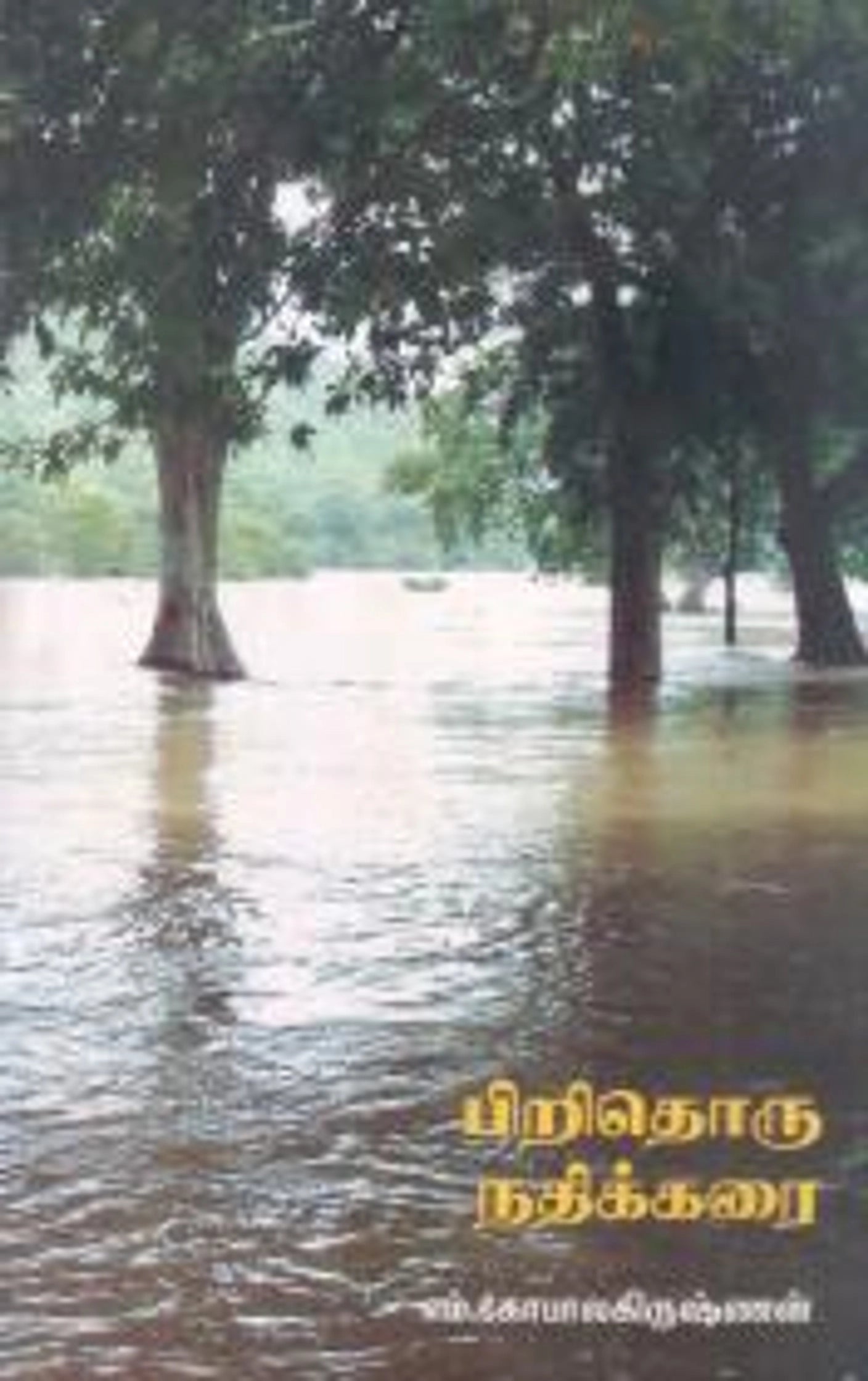 பிறிதொரு நதிக்கரை